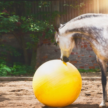 Paarden speelgoed