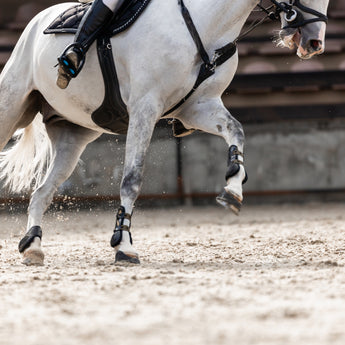 Paarden bescherming