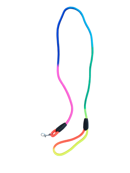 Tuigje met riem regenboog
