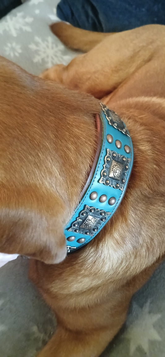 Elegante Turquoise Leer Honden Halsband
