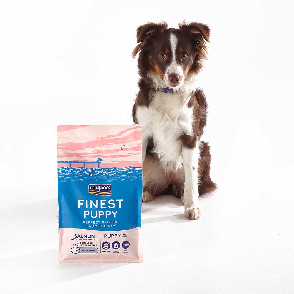 Fish4Dogs - Puppy Salmon with Sweet Potato