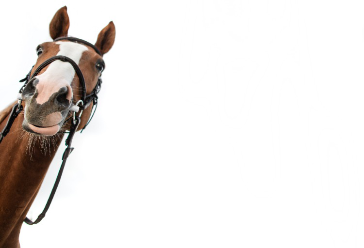 Kado Vitalbix max 1 per klant