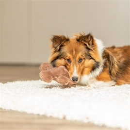 Trixie Xmas Gemberkoekman Met Geluid Pluche 16 CM