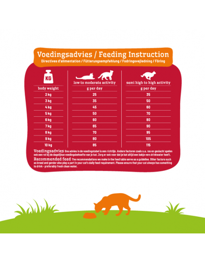 Smølke - Adult Lamb