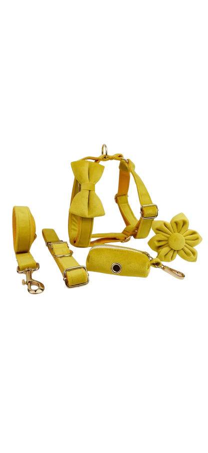 Dierenshop Lady - Hondentuigje set Lovely