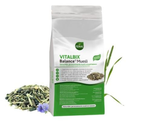 Vitalbix Balance+Muesli