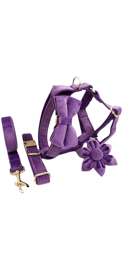 Dierenshop Lady - Hondentuigje set Lovely