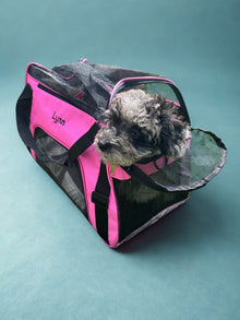 Mooie gepersonaliseerde honden of katten reistas