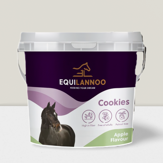 Paardensnack Equilannoo Cookies Apple – 1,5 kg. 🐴🍏