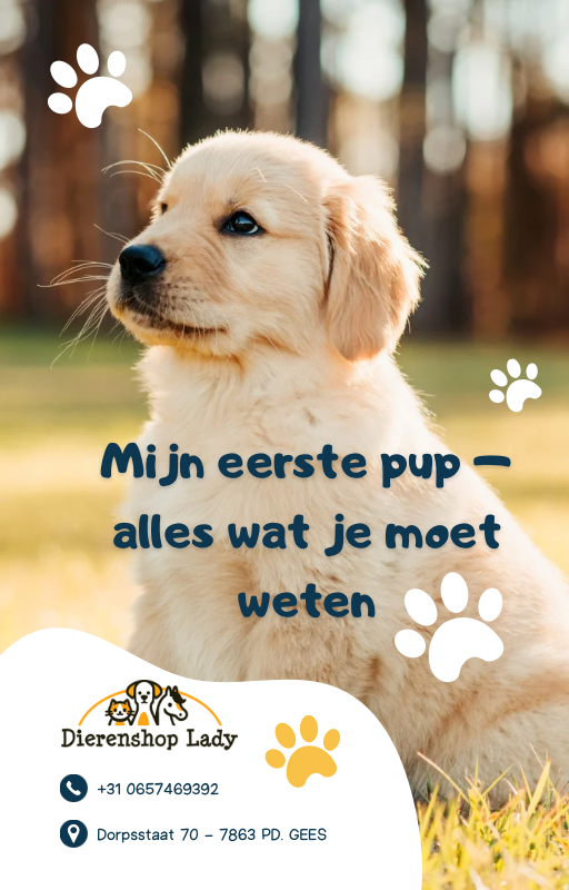 E-book: Gratis download Mijn eerste Pup