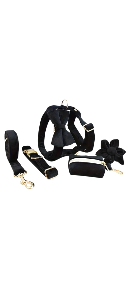 Dierenshop Lady - Hondentuigje set Lovely