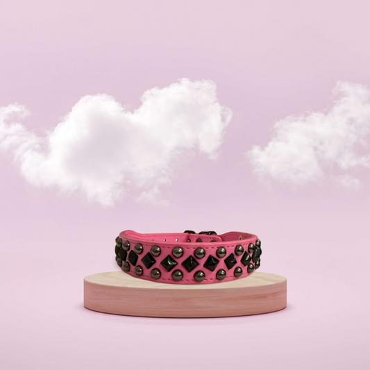 Echt Leren halsband met studs