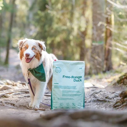 BUDDY - Free-Range Duck