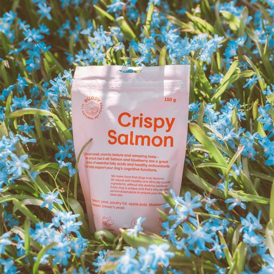 BUDDY - Crunchy Snack Salmon with Blueberries 10 x 150 gr