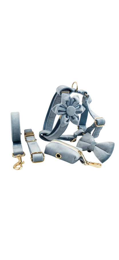 Dierenshop Lady - Hondentuigje set Lovely