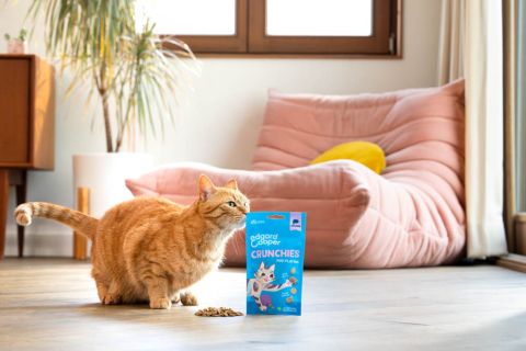 Edgard & Cooper - EC Crunchies Salmon