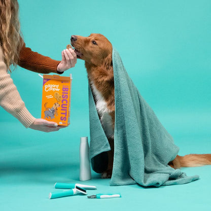 Edgard & Cooper - Biscuit Chicken