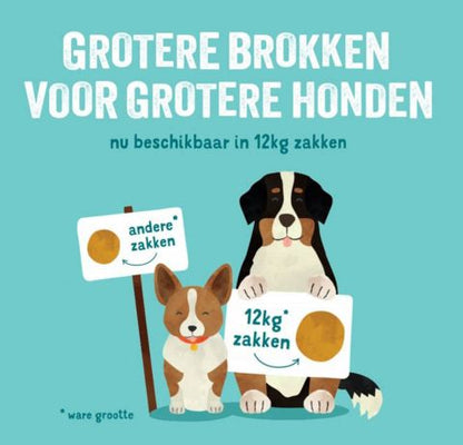 Edgard & Cooper - Puppy Fresh Atlantic Salmon & Free-run Turkey with pear, pumpkin, and apple - Dierenshop Lady