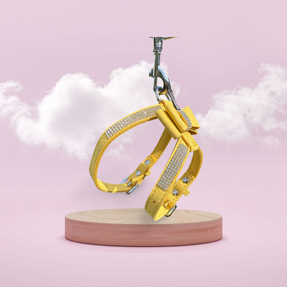 Dierenshop Lady - Tuig Missy