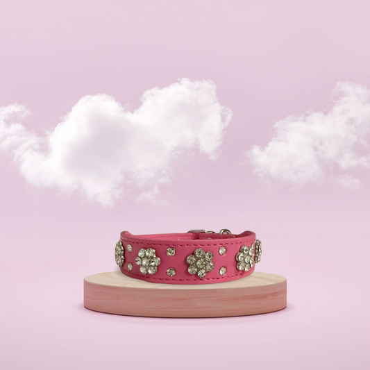 Honden halsband met bloem