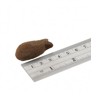 Fish4Dogs - Support+ Adult White Fish Morsels