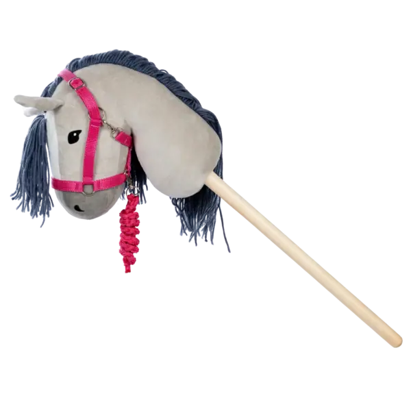 Verfijnd Roze Halster met Bijpassend Halstertouw