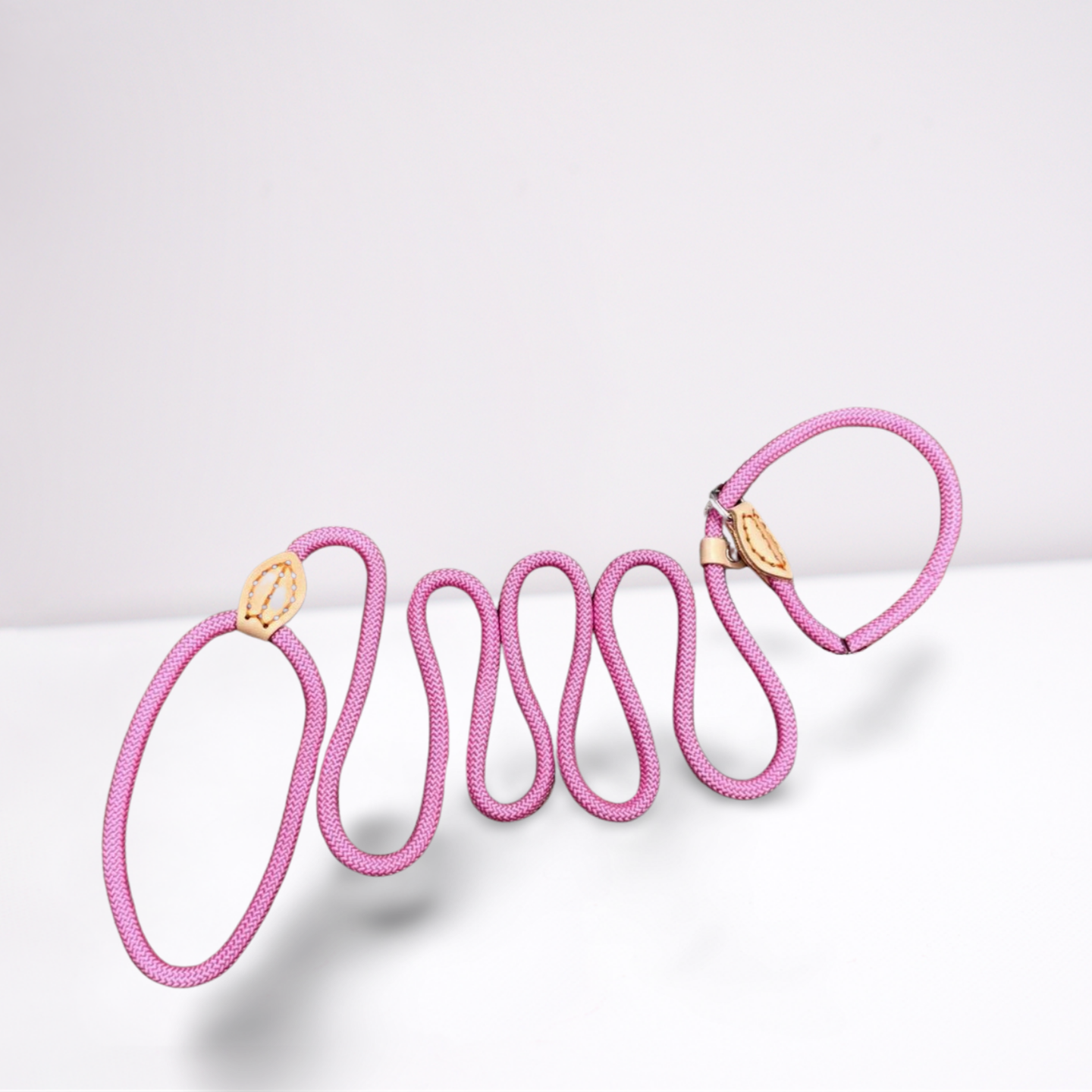 Puppyriem met verstelbare vaste halsband