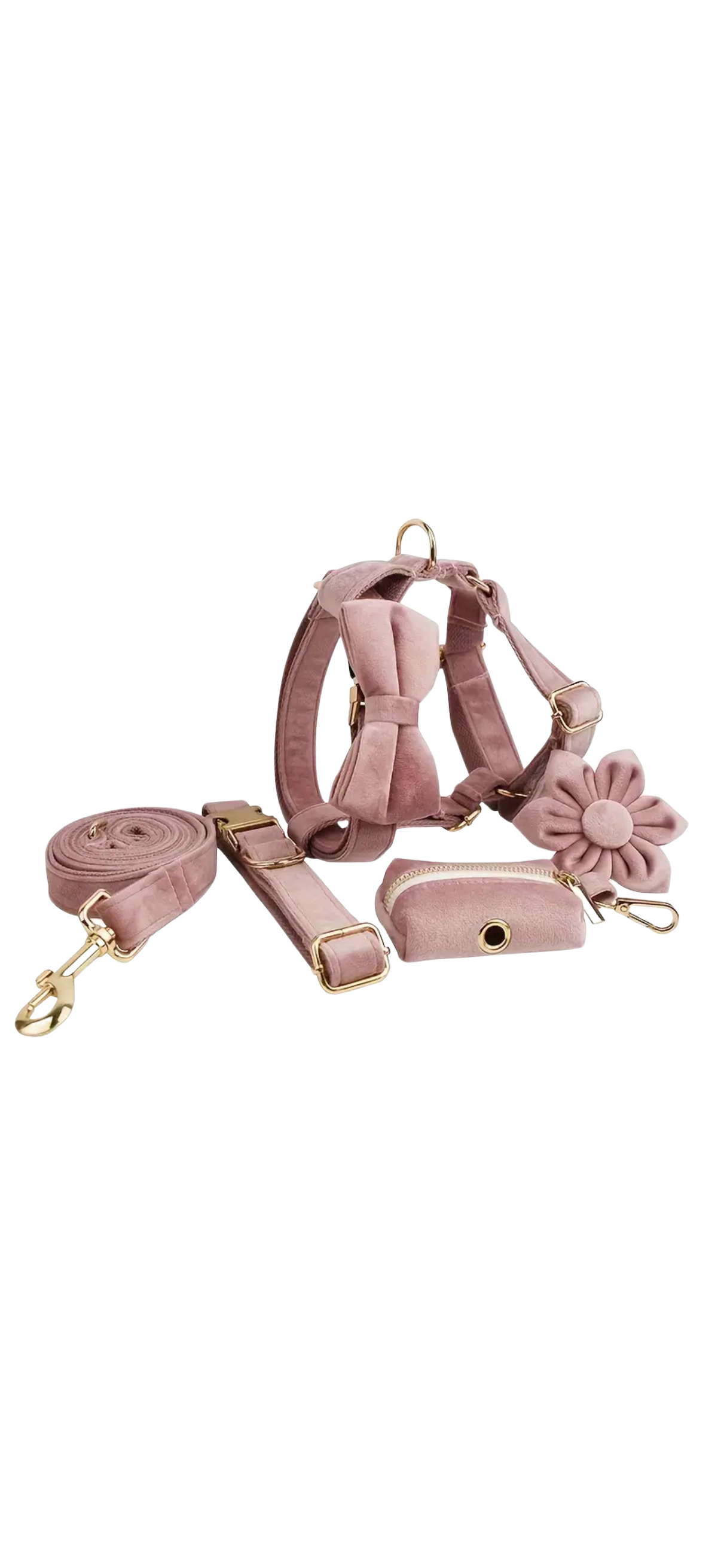 Dierenshop Lady - Hondentuigje set Lovely
