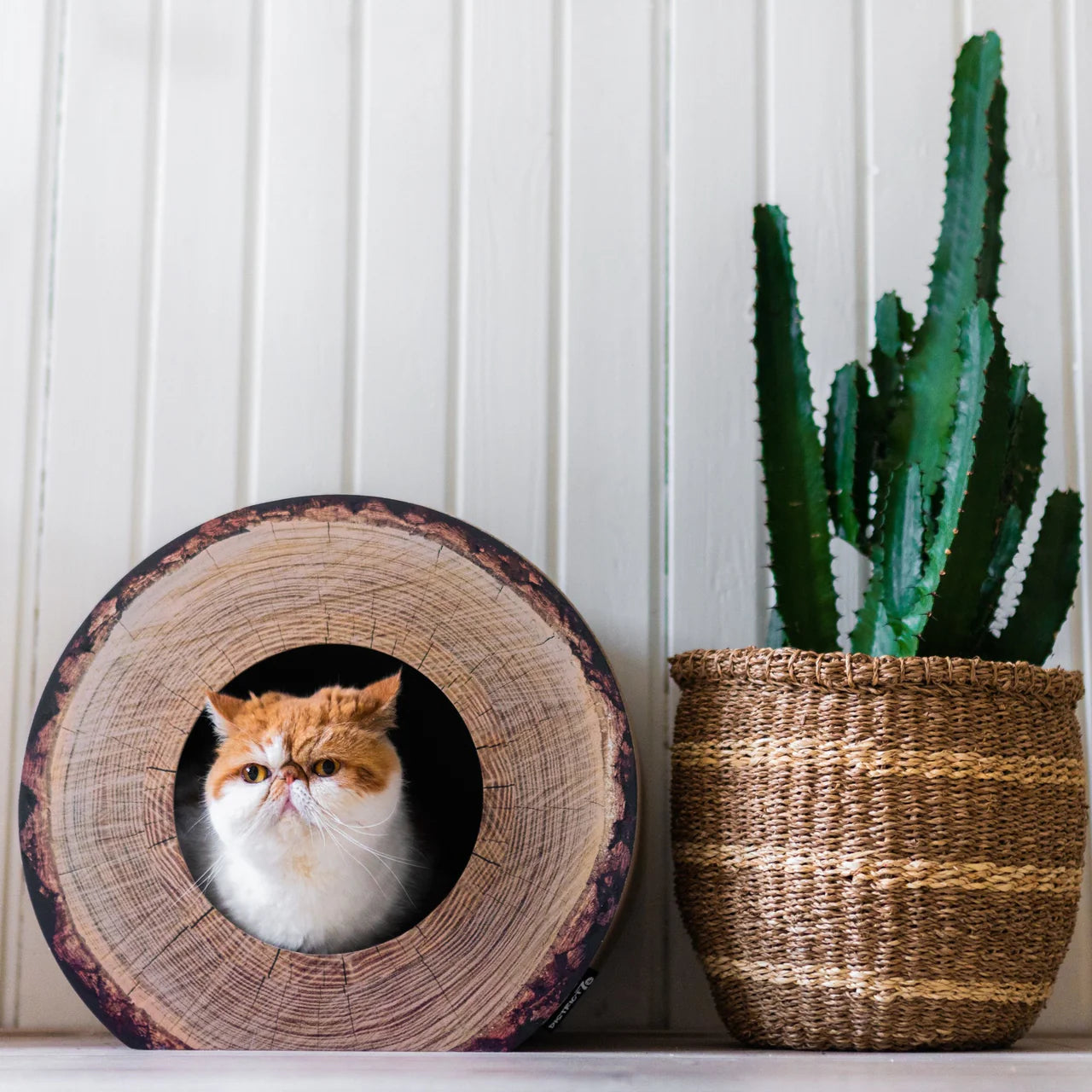 Krabmeubel TRUNK - Boomstam Design - Dierenshop Lady