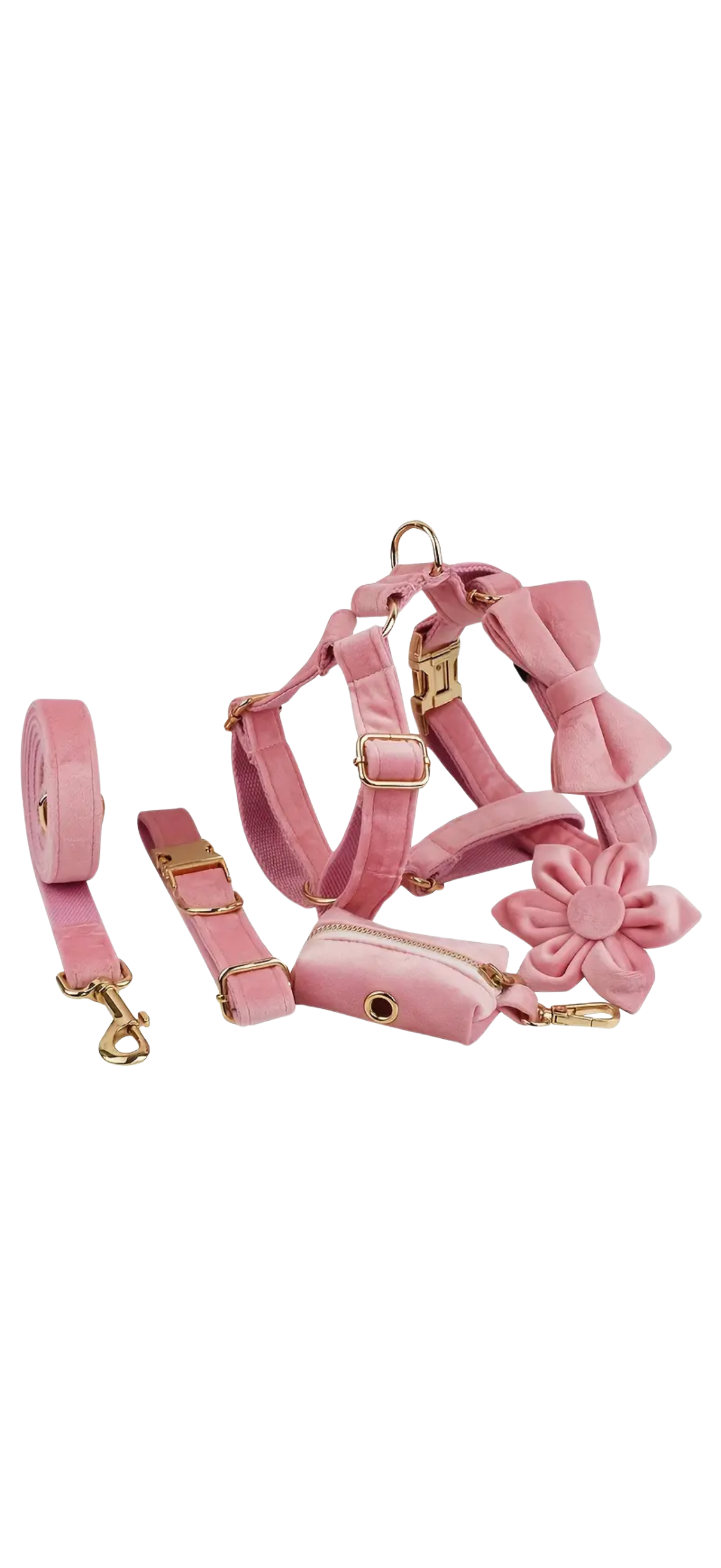 Dierenshop Lady - Hondentuigje set Lovely