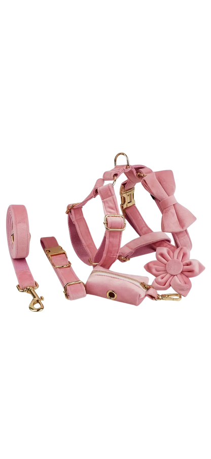 Dierenshop Lady - Hondentuigje set Lovely