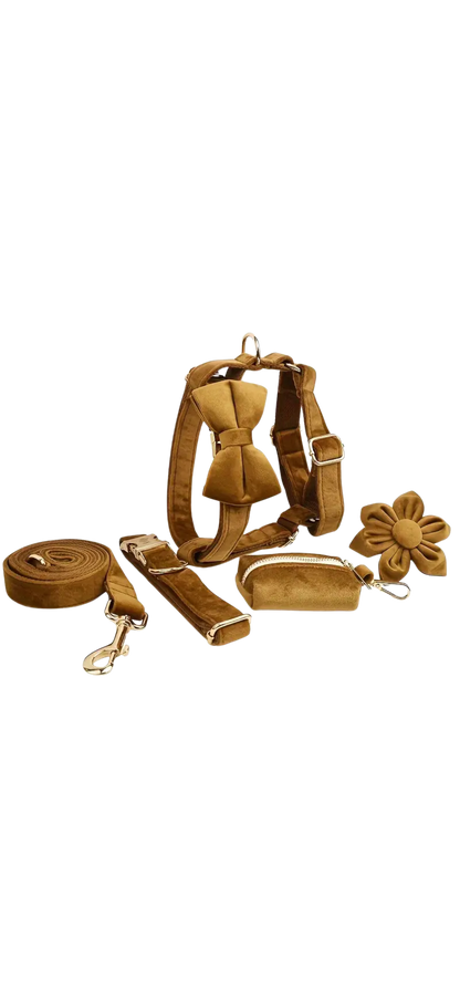 Dierenshop Lady - Hondentuigje set Lovely