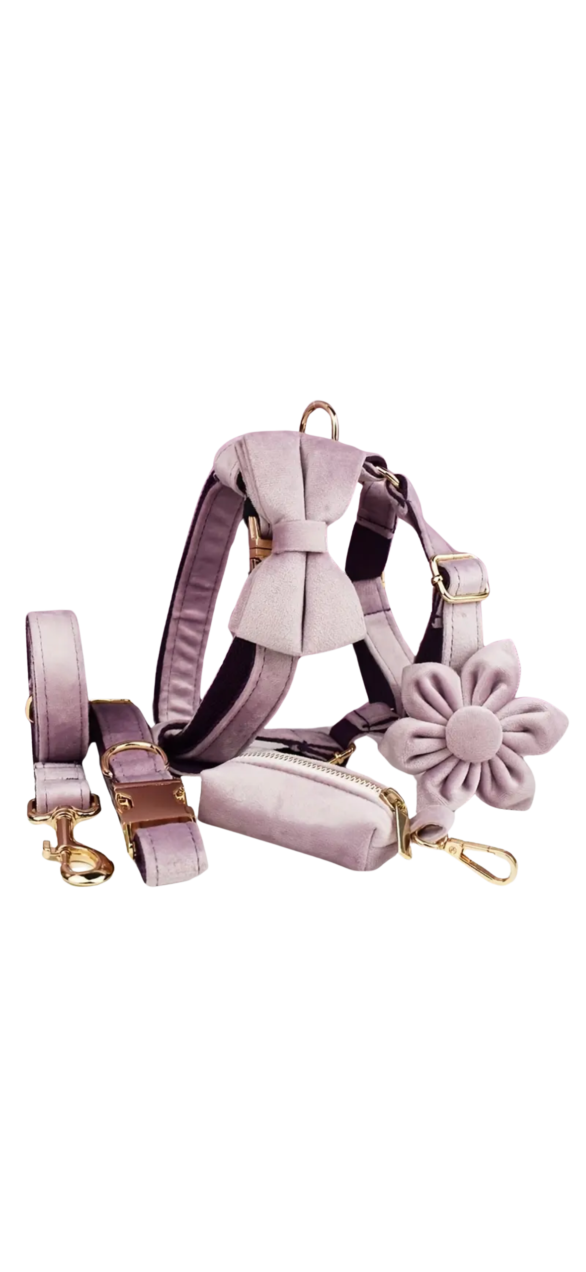 Dierenshop Lady - Hondentuigje set Lovely