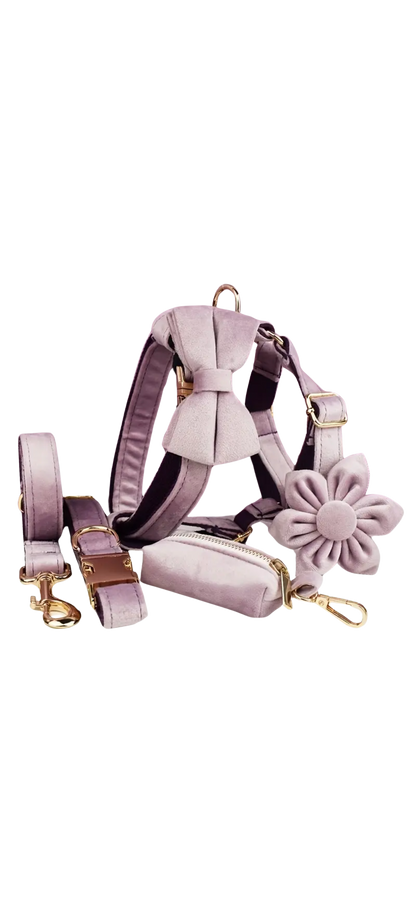 Dierenshop Lady - Hondentuigje set Lovely