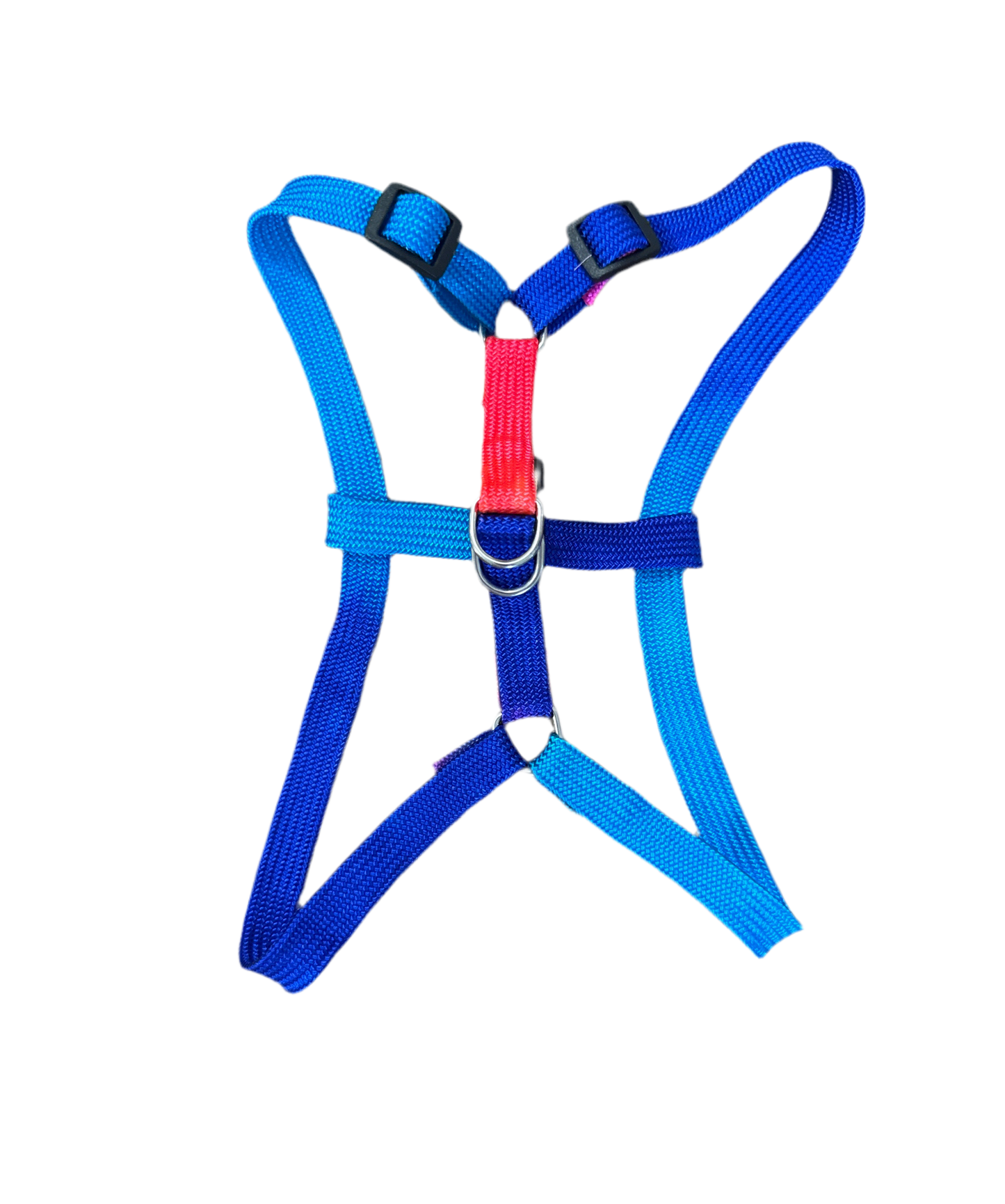 Tuigje met riem regenboog