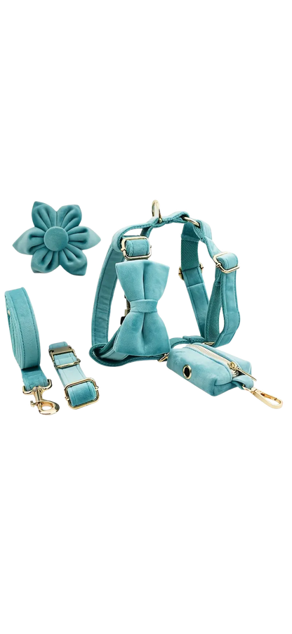 Dierenshop Lady - Hondentuigje set Lovely