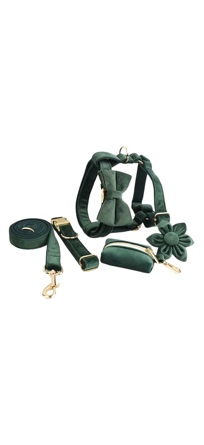 Dierenshop Lady - Hondentuigje set Lovely