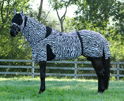 Eczeemdeken voor paarden – optimale bescherming tegen insecten en zon