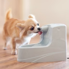 Mini Pet Fountain - 1.2 L