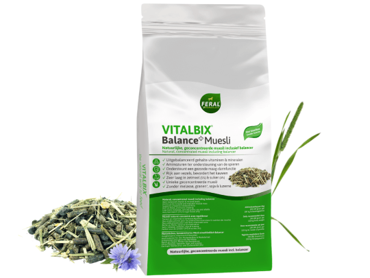 Vitalbix - Balance+ Muesli