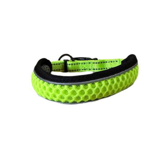 Hondenriem neon
