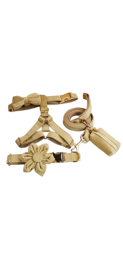 Dierenshop Lady - Hondentuigje set Lovely