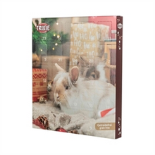 Trixie Adventskalender Knaagdier 30X2X42 cm