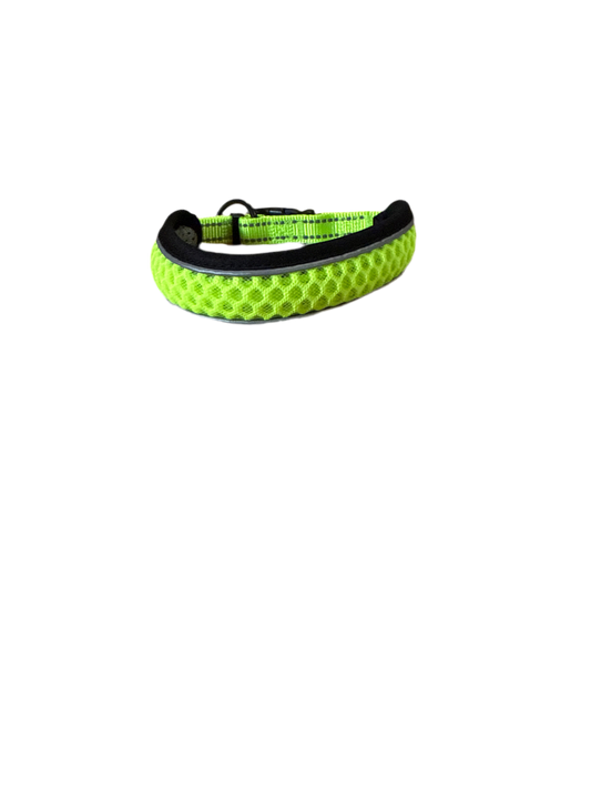 Hondenriem neon