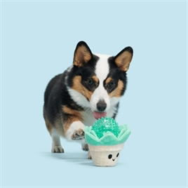 Bark Suki Succulent Vetplant In Pot Pluche Met Spikey Bal 2 In 1 22X14X13 cm