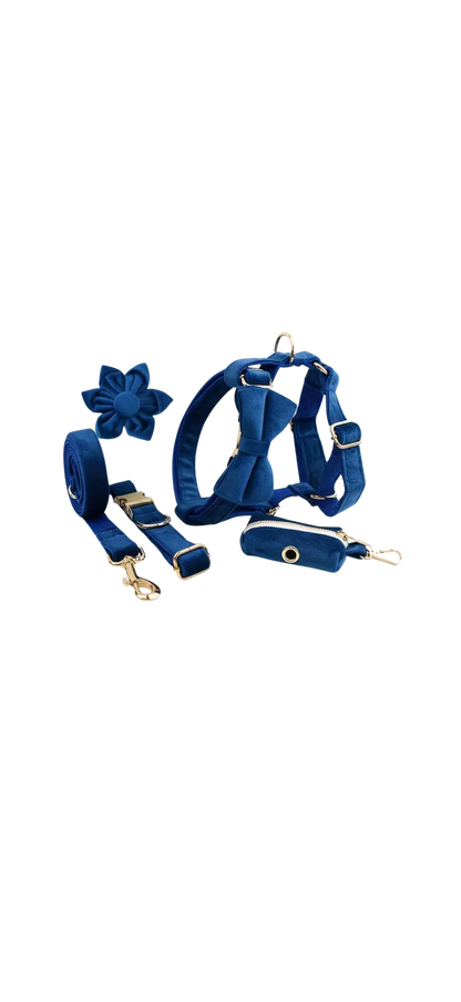 Dierenshop Lady - Hondentuigje set Lovely