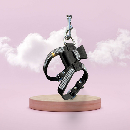 Dierenshop Lady - Tuig Missy