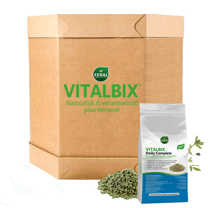 Vitalbix - XL Box Daily Complete