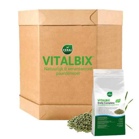 Vitalbix - XL Box Daily Complete Timothy