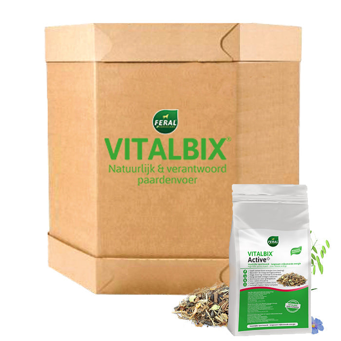 Vitalbix - XL Box Active+